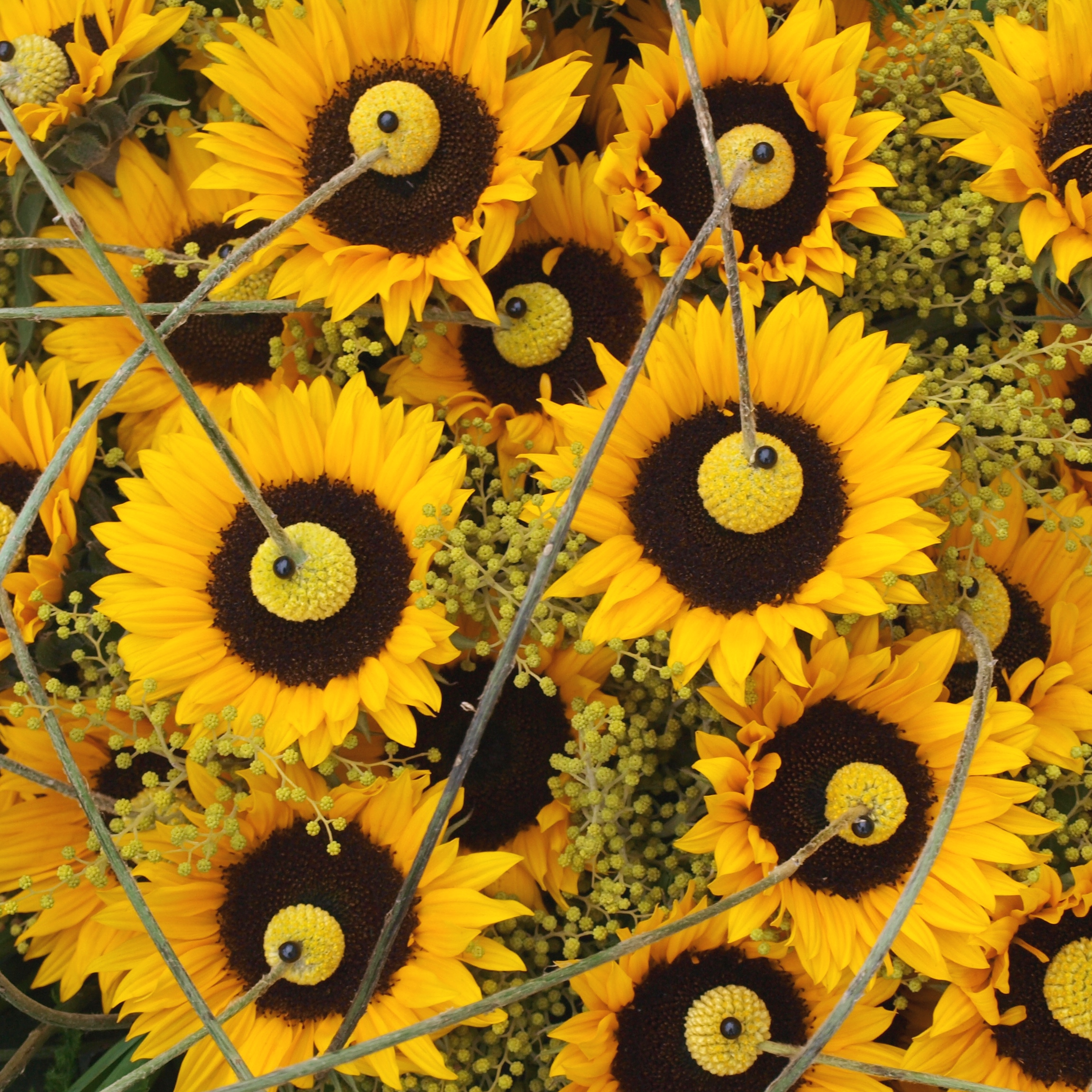 Rouwstuk met Zonnebloemen